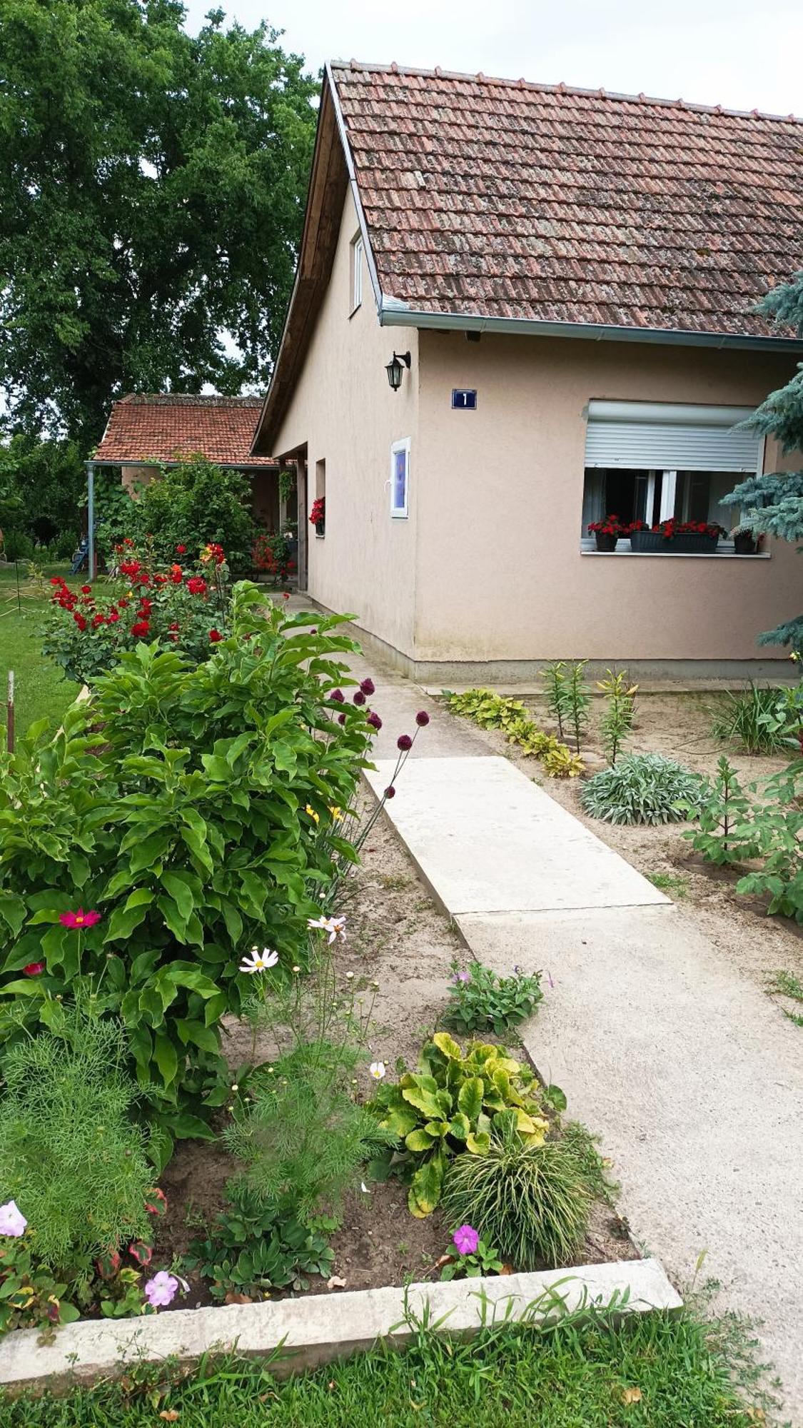 Hostal Sobe Masa Subotica Exterior foto