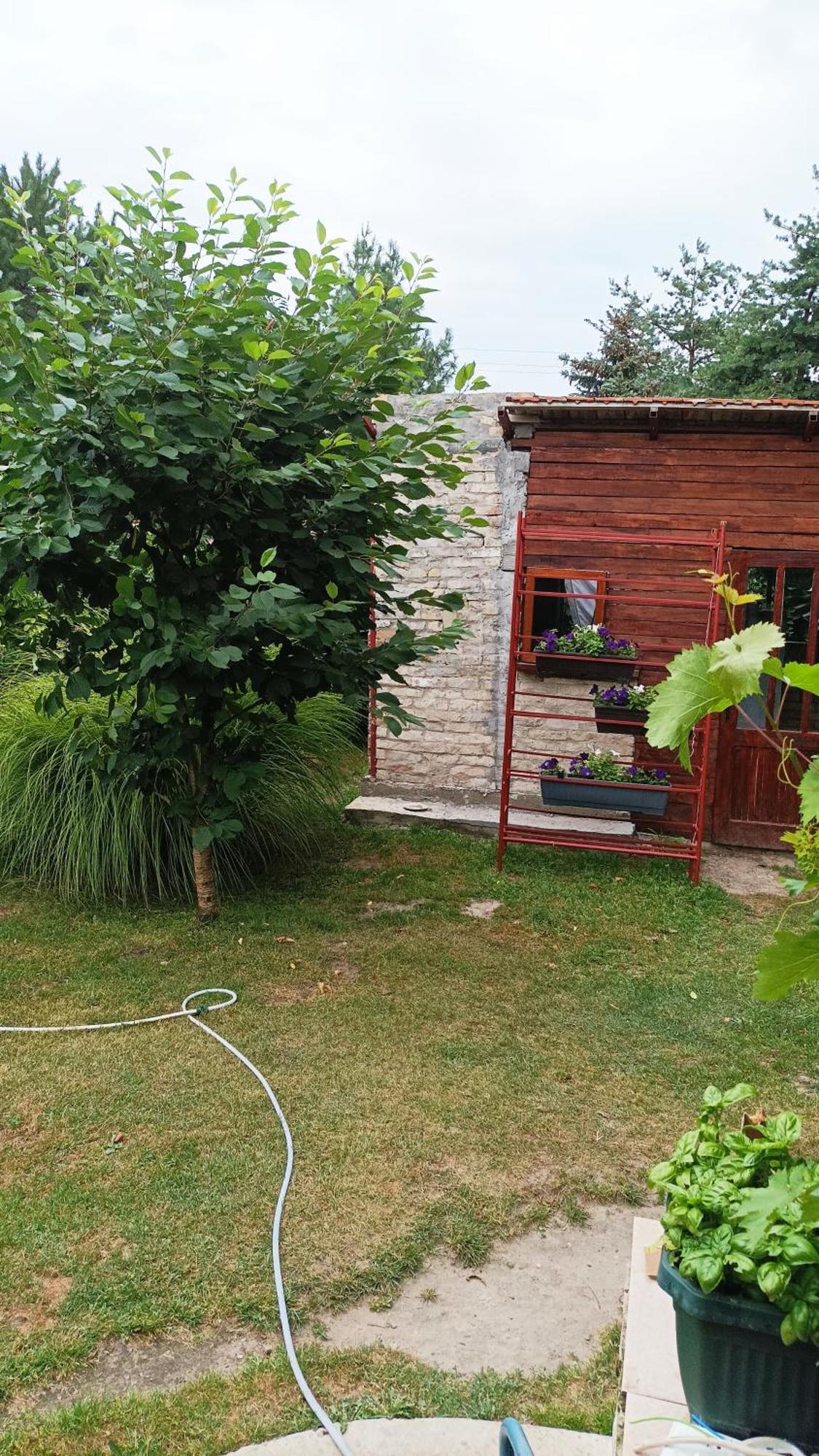 Hostal Sobe Masa Subotica Exterior foto